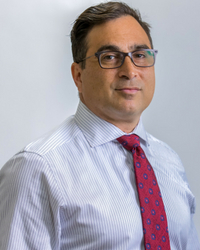 Dimitri L. Karapelou, Esq.