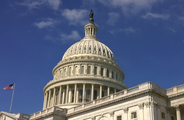 U.S. Capital Building